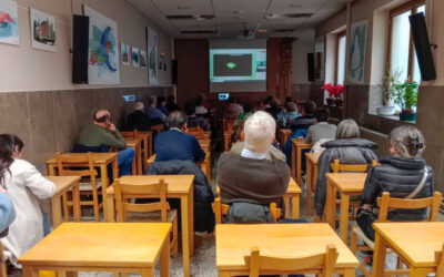 Introducción curso mentoría social